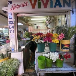 Florería Vivian