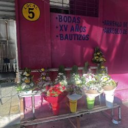 Florería Viviana