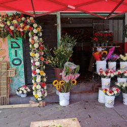 Florería Wendy's