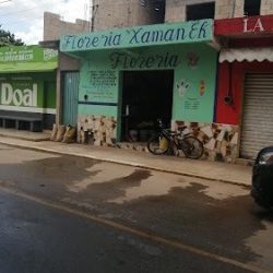 Floreria Xaman Er
