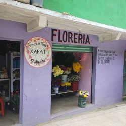 Florería Xanat