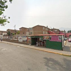 Florería "xanat Tino"