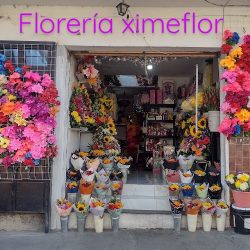 Florería Xime Mayoreo Y Menudeo
