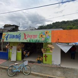 Florería Ximena