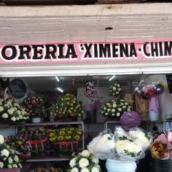 Floreria Ximena Chimalli