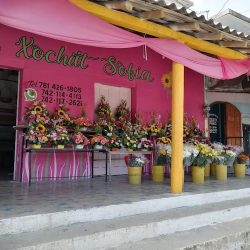 Floreria Xochilt Sofia