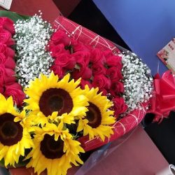Floreria Xochimilco