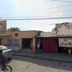 Floreria Xochimilco