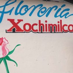 Floreria Xochimilco