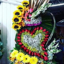 Floreria Xochimilco