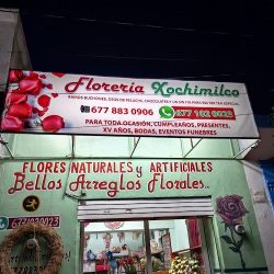Floreria Xochimilco