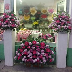 Floreria Xochimilco