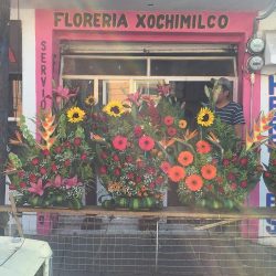 Florería Xochimilco