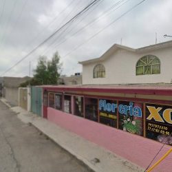 Florería Xochimilco