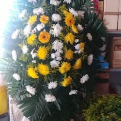 Floreria Xochimilco
