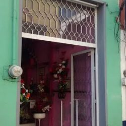 Florería Xochimilco