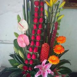 Floreria Xochimilco #3