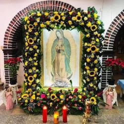 Florería Xochimilco La Mejor Opcion