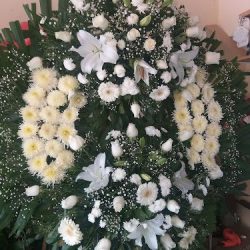 Floreria Xochimilco's