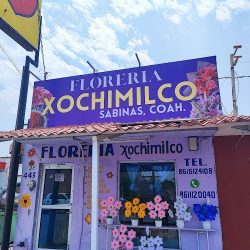 Florería Xochimilco Sabinas