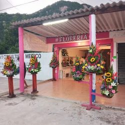 Floreria Xochimilco2