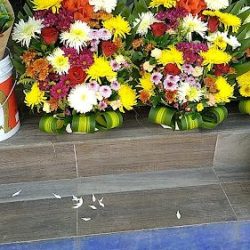 Florería Y Algo Mas