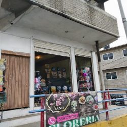 Floreria Y Arreglos De Ocasión "jano".