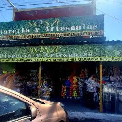 Florería Y Artesanías Sosa