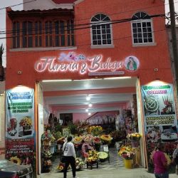 Florería Y Bodega Santísima Virgen María Guadalupe