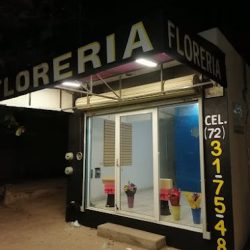 Floreria Y Coronas Ayala
