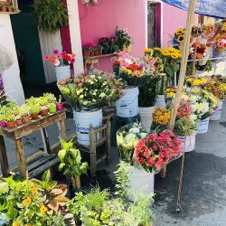 Floreria Y Creaciones Coly