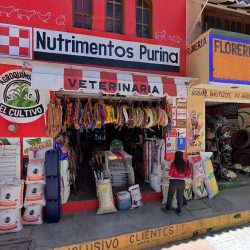Floreria Y Decoraciones Jazmin