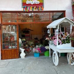 Floreria Y Decoraciones " Lia Gallardo "