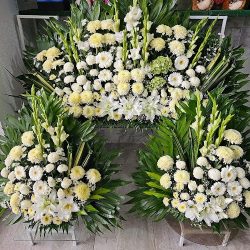 Florería Y Detalles Momis