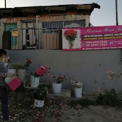 Floreria Y Distribuidora "rosa Bonita."