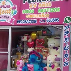 Florería Y Eventos Camino Real
