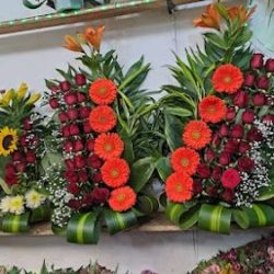 Floreria Y Fruterias San Juan