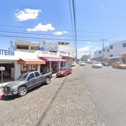 Floreria Y Jugueria Cruz