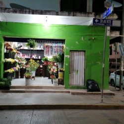 Floreria Y Novedades Anahi