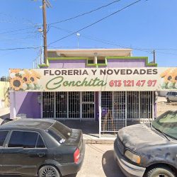 Floreria Y Novedades Conchita