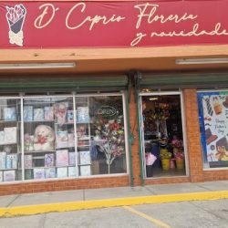 Floreria Y Novedades D'caprio