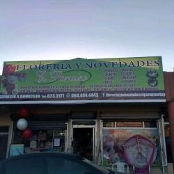 Florería Y Novedades El Paraíso