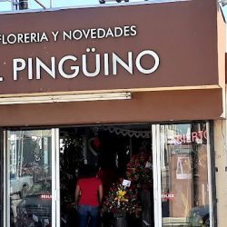 Florería Y Novedades El Pingüino