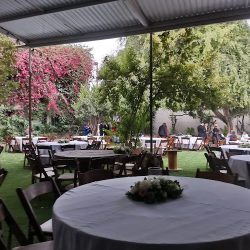 Floreria Y Novedades Jazmín