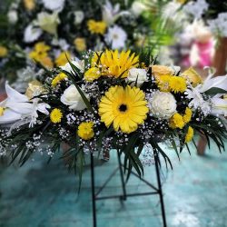 FlorerÍa Y Novedades "juquilita"