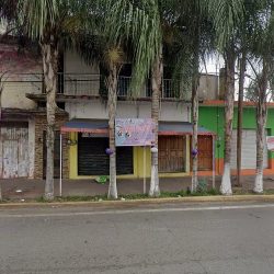 Floreria Y Novedades Juquilita