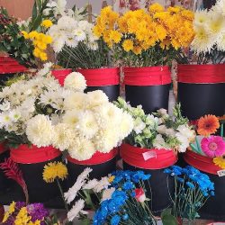 Florería Y Novedades Keyla