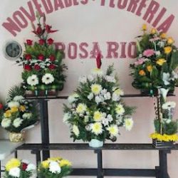 Floreria Y Novedades "rosario"