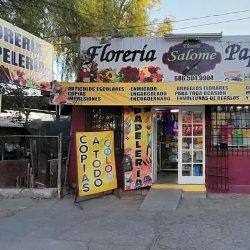 Floreria Y Papelería Salome