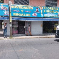 Floreria Y Peluches Ave Del Paraiso